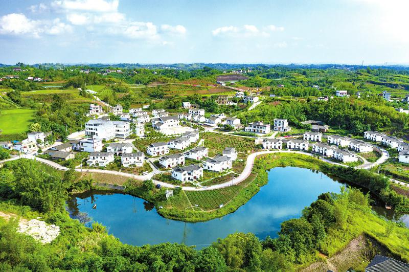 推动县域经济高质量发展 书写城乡融合发展的“富顺答卷”「相关图片」