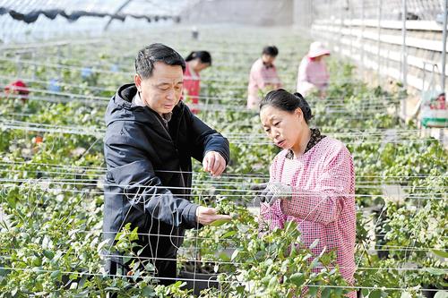 “茄子大王”有了新绰号