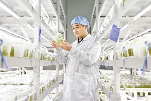 张家口做强特色农业丰富雄安“菜篮子”