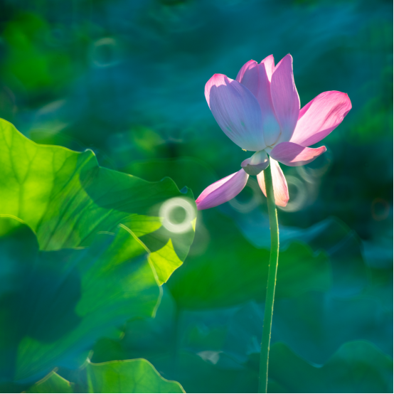 576a7035-6960-416d-9a4b-9f5247c829d2.png