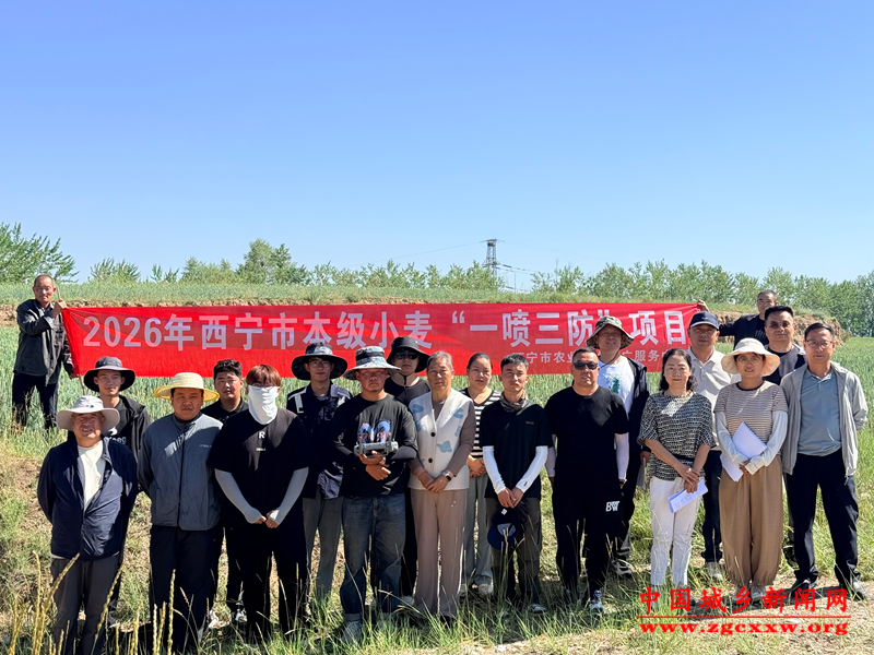 微信图片_20260723134238_2529_4.png