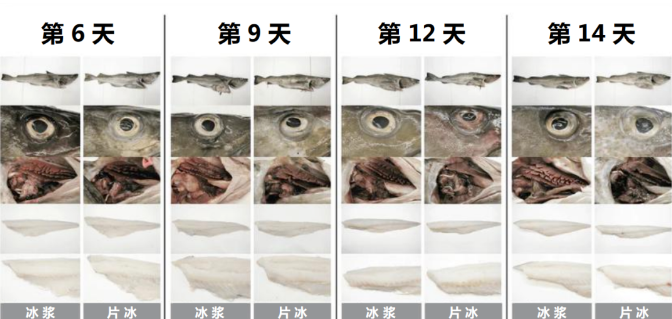 1784994648671.png