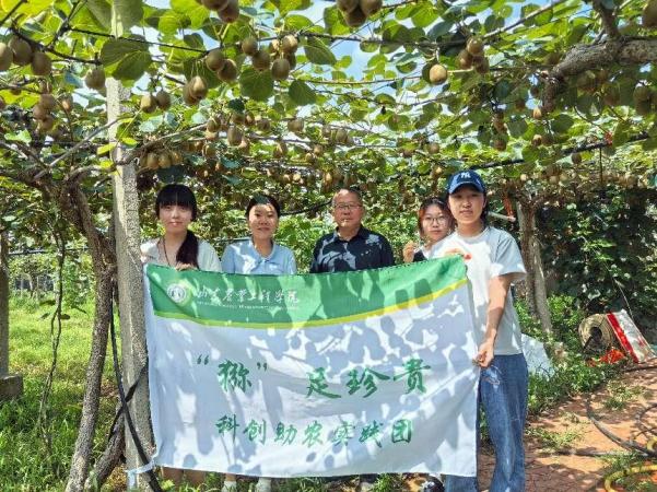 助农兴产促振兴——山东农业工程学院“猕”足珍贵实践团助力博山猕猴桃产业发展