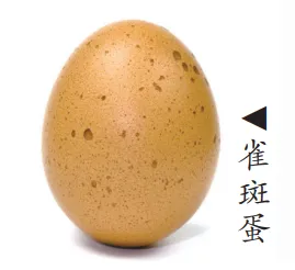 ece3f8b7-b109-4736-bb1a-4978d5c69edd.png
