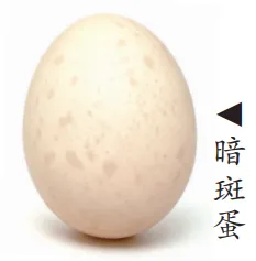 5fc402e8-68af-4376-a3be-3187dd973795.png