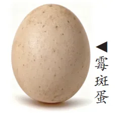 a6059a8e-5ac8-4db3-8c0d-51e0ef3e580b.png