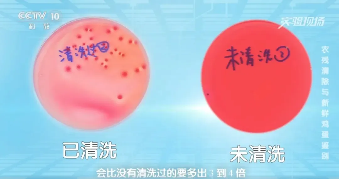 175242c2-99a4-4085-9014-a9b64694897c.png